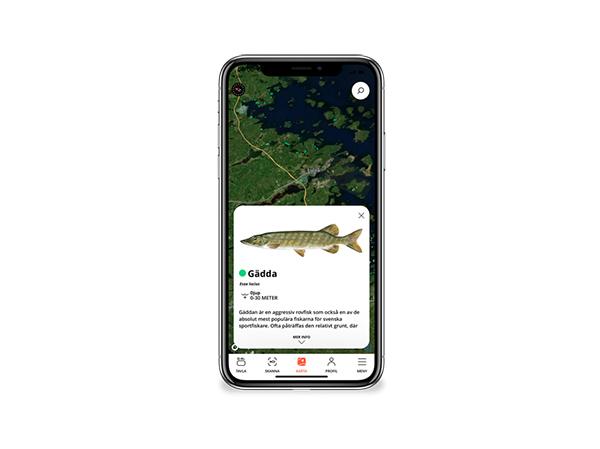Fiskeapp