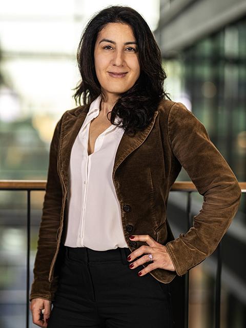Sandra Elvin, Microsoft