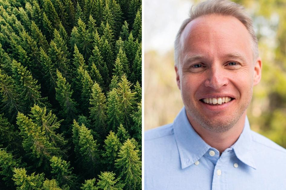Granskog Sett Från Ovan; Henrik Boström, Mellanskog; Ai, Automation, Hållbarhet