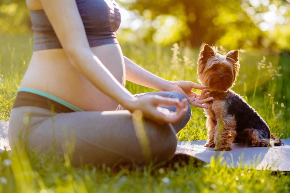 gravidmage-med-hund-gor-yoga.jpg