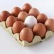 elva bruna ägg och ett vitt i en kartong.jpg