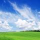 grönt fält och blå himmel.jpg