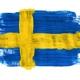 svenska flaggan i målarfärg.jpg