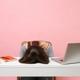 kvinna sitter med huvudet i skrivbordet och är trött på jobbet med rosa bakgrund.jpg