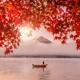 Röda Blad På Ett Träd I Förgrunden Med En Man På En Sjö Och Japanskt Berg I Bakgrunden (1)