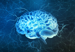 genomskinlig 3d-bild på en hjärna i blått med elektricitet runtomkring.jpg