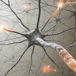 massor-av-neuroner-nu-i-bitkod.jpg