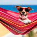 glad-hund-chillar-i-hangmattan.jpg