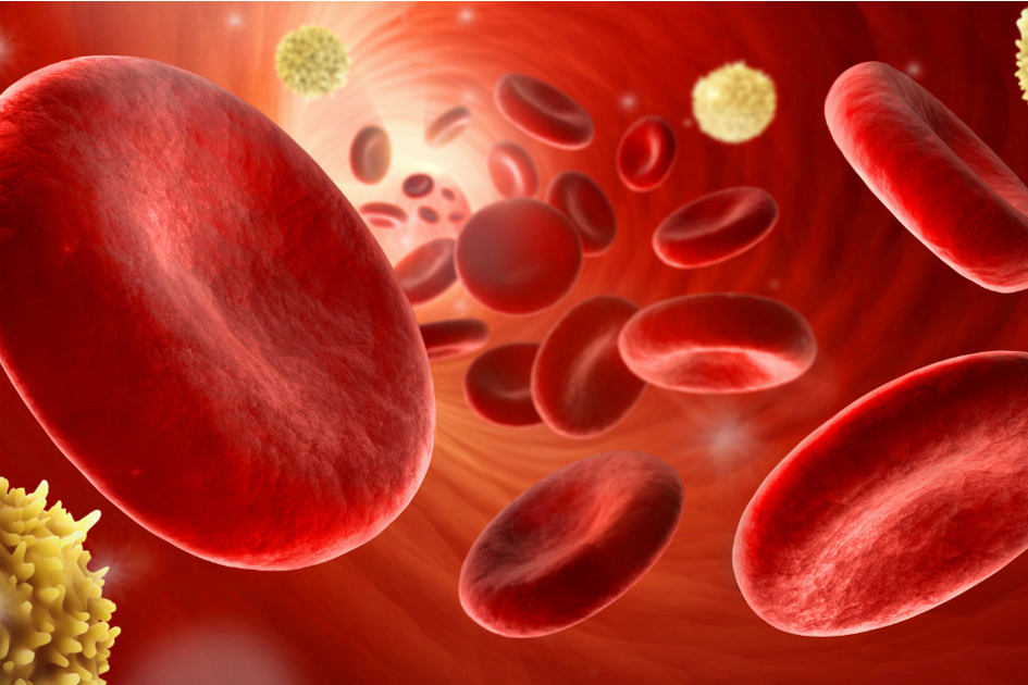 röda blodkroppar.jpg