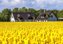 Skåne-unikom-citrix-960640.jpg