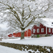 fin-gard-i-sno.jpg