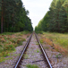 järnväg i skog.jpg