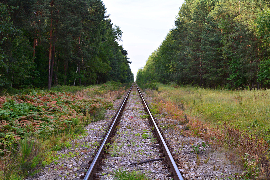 järnväg i skog.jpg