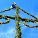 toppen av en midsommarstång mot blå himmel.jpg