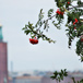 city-hall-sthlm.jpg