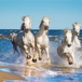 hästar-springer-vid-strand.jpg
