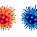 två coronavirus, en röd till vänster och en blå till höger.jpg