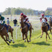 atg-hastsport-960640.jpg