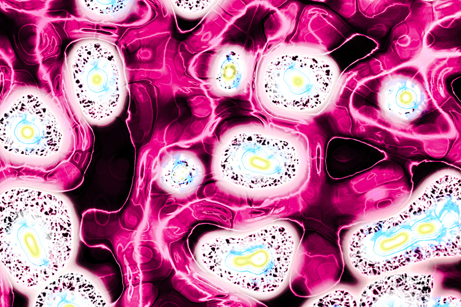 rosafärgade bakterier.jpg