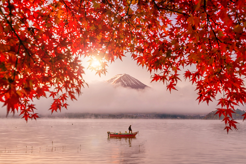 Röda Blad På Ett Träd I Förgrunden Med En Man På En Sjö Och Japanskt Berg I Bakgrunden (1)