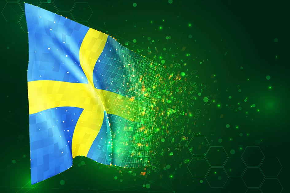 En Svenska Flagga I Cyberrymden