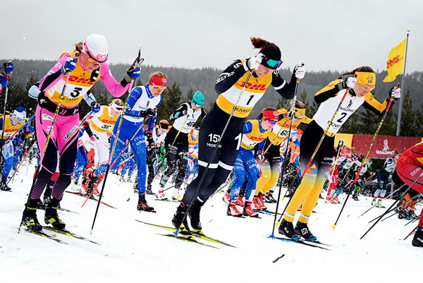 Malgang Med Ibm Voister