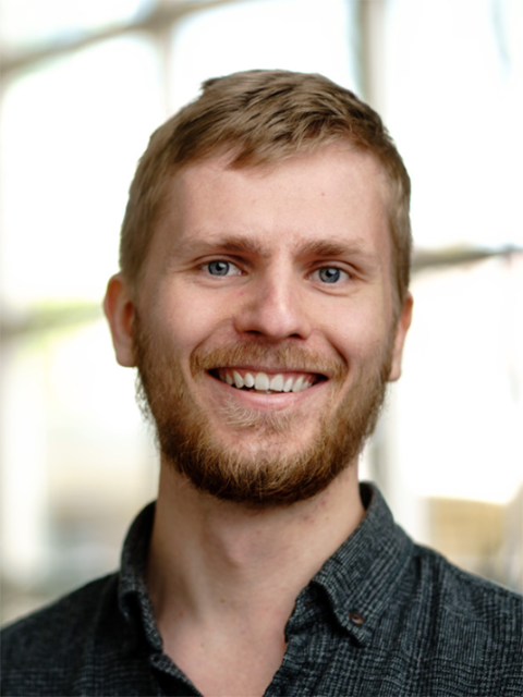 Sebastian Holmström Proffe
