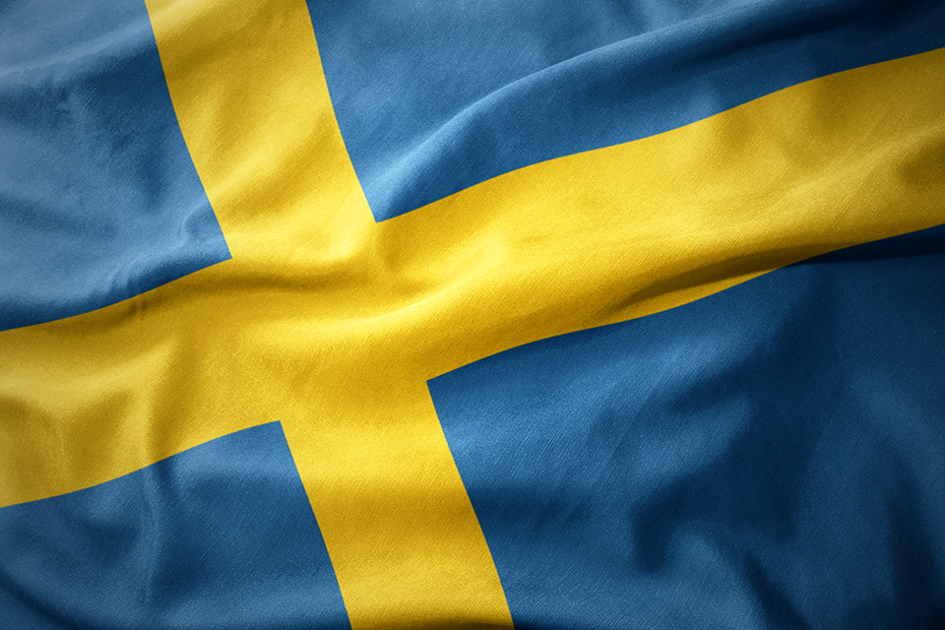Myndighet, Svenska Flaggan2