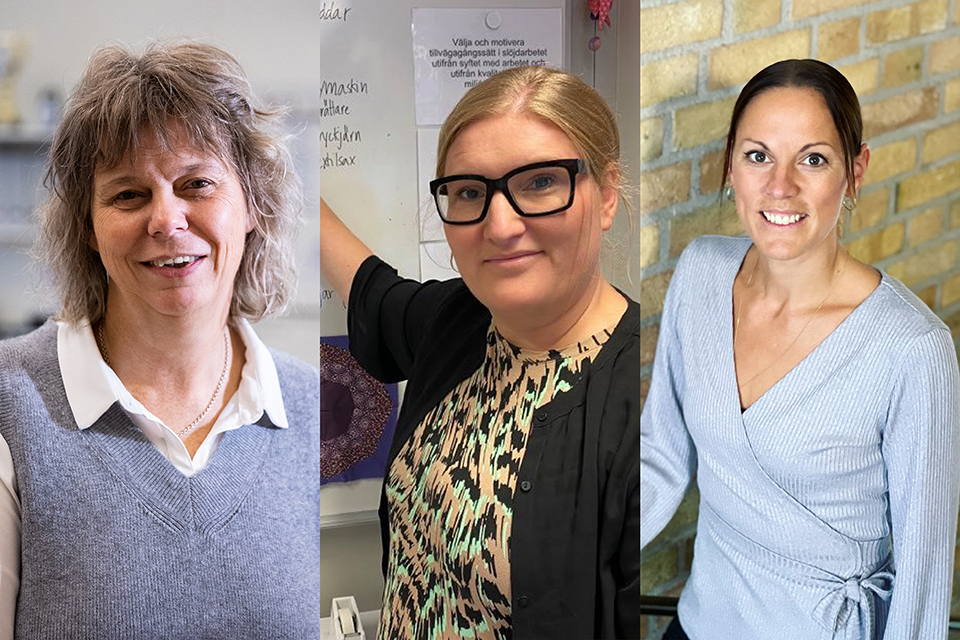 Ulrica Elisson Grane, Ullvi Skola I Leksand, Karolin Wagner, Petersvenskolan Landskrona Och Helen Larsson, Rosenlundsskolan I Jönköping.