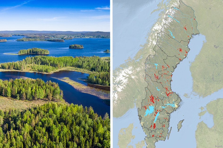 Skog Och Karta Över Sverige