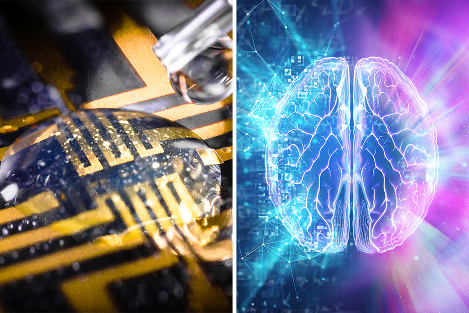 Elektroder Odlade I Hjärnan; 3D Bild På Hjärna